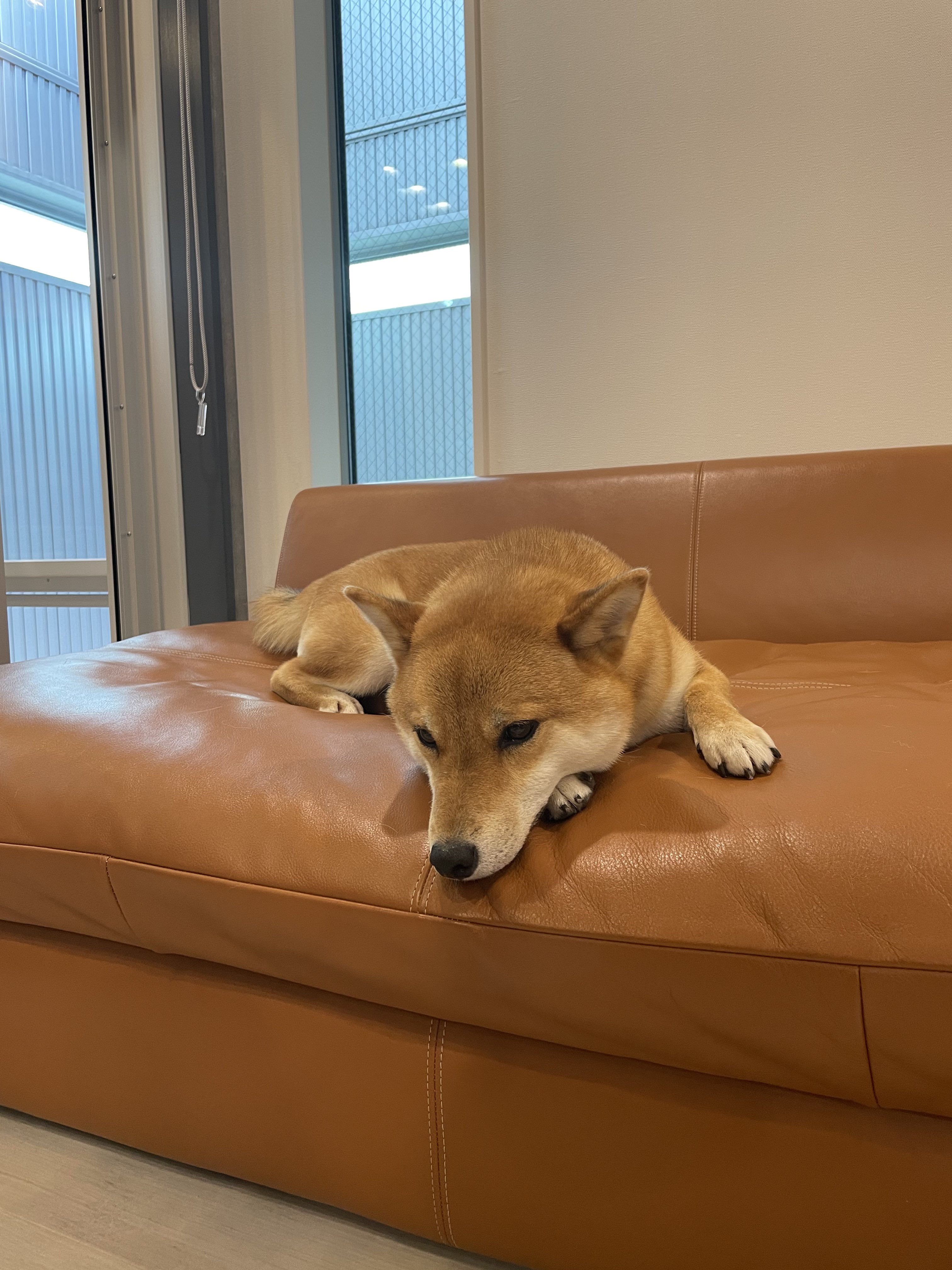 ふてくされ Twitter Search Twitter