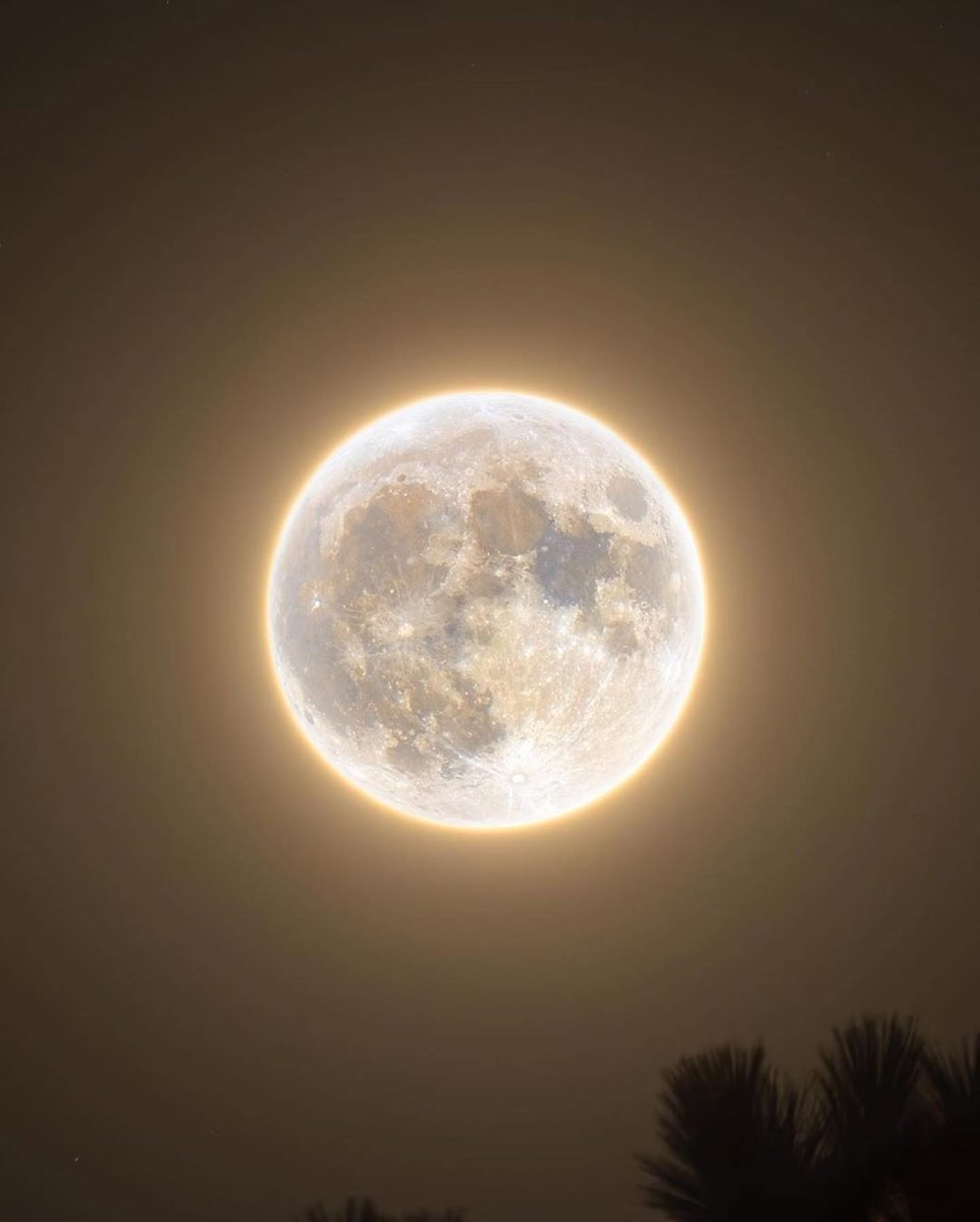 blairwaldorftwt's tweet photo. Por siempre enamorada de la luna https://t.co/FhkBVnCqNR
