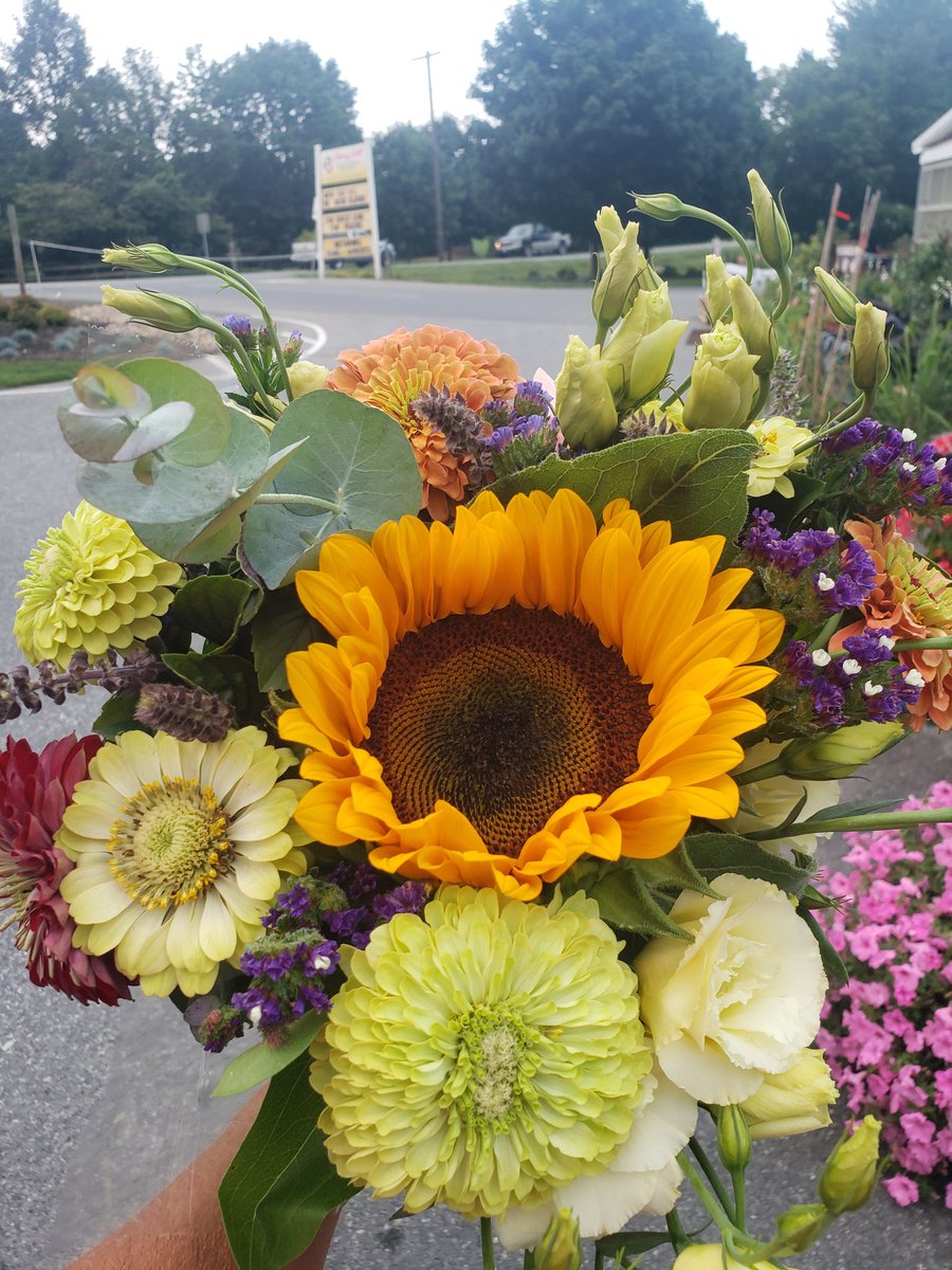 Debpiequeen1's tweet photo. Fresh flower bunches available every day at Cherry Hill Orchard Outlet. Shop local flowers. Grown in Conestoga Pa https://t.co/h1WtM48Aws