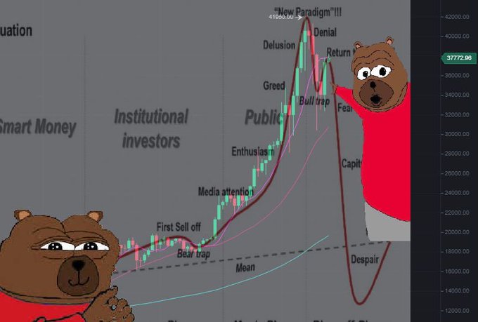 crypto lover tweet media