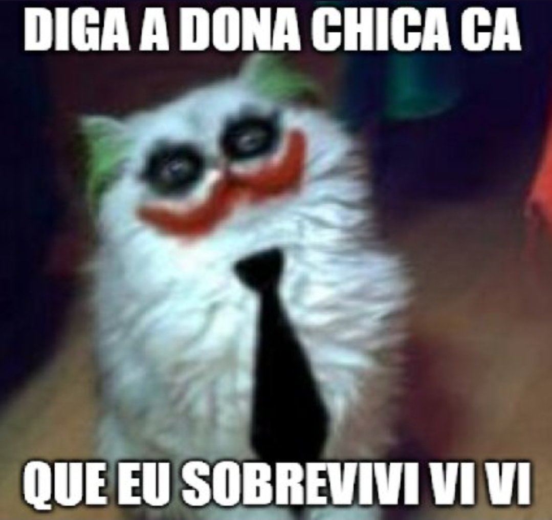 crocodilejp's tweet photo. @LUFFYSCORE achei ridícula mas tem no mangá ent fiquei tipo: https://t.co/uC1VfumAcz