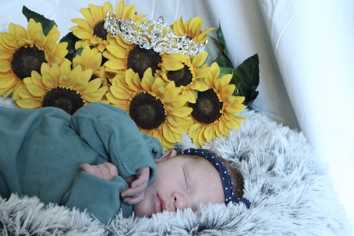 staciwithani5's tweet photo. Princess Charlotte 🌻 👑 https://t.co/7Cwn2aZu5Y