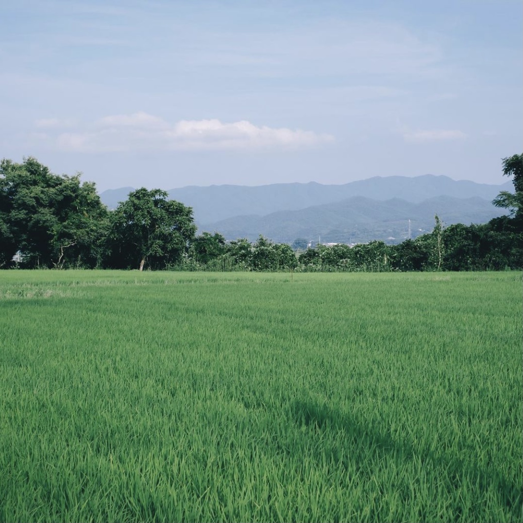 おはようございます

今日も暑いですね！
日焼けと熱中症対策をしっかりしていってらっしゃい👋

#福島 #国見町 より。
