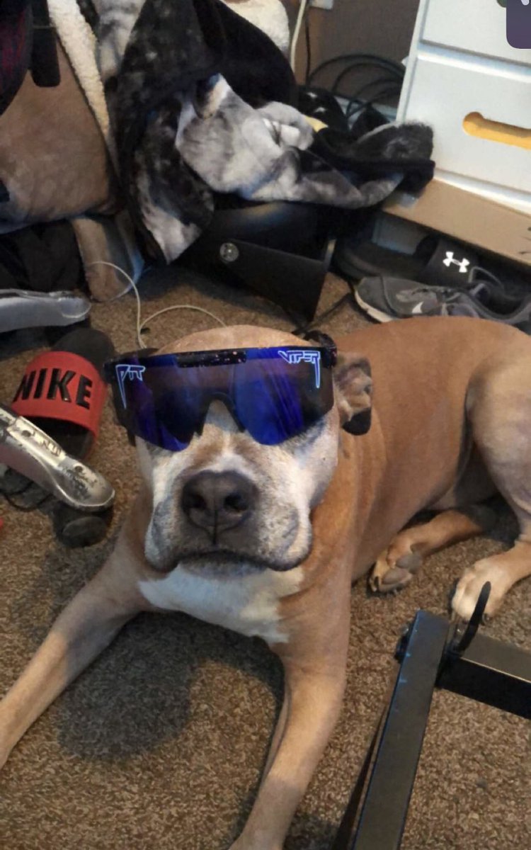 Ace Silent tweet media