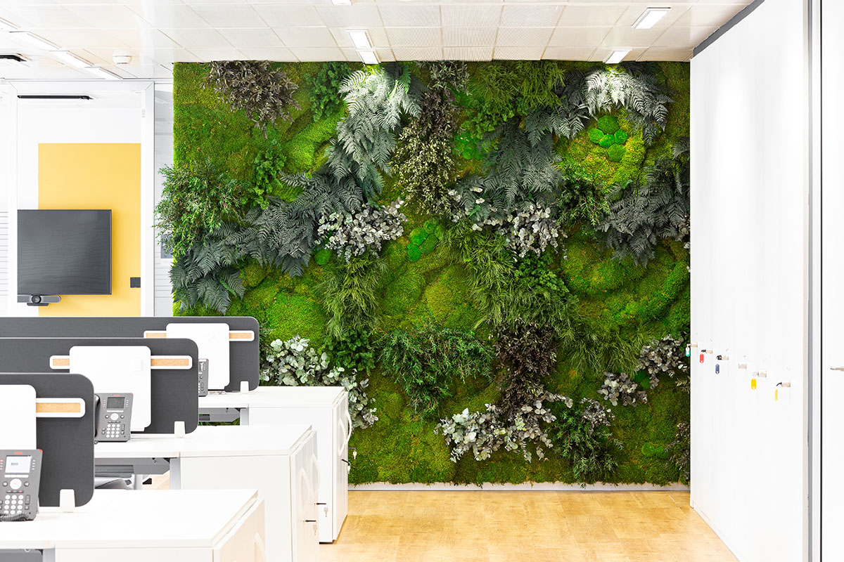 greenarea2's tweet photo. Síguenos en Instagram https://t.co/ADMHmCk3cw y en https://t.co/w1Z6yoLjl5 para descubrir nuestras novedades en #decoración vegetal creativa e innovadora con la que crear espacios llenos de sensaciones y bienestar🌿
#arquitectura #interiorismo #biofilia #jardinvertical #green https://t.co/96wuhCvM89