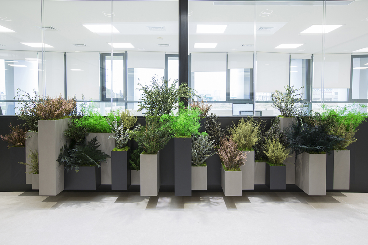 greenarea2's tweet photo. Síguenos en Instagram https://t.co/ADMHmCk3cw y en https://t.co/w1Z6yoLjl5 para descubrir nuestras novedades en #decoración vegetal creativa e innovadora con la que crear espacios llenos de sensaciones y bienestar🌿
#arquitectura #interiorismo #biofilia #jardinvertical #green https://t.co/96wuhCvM89