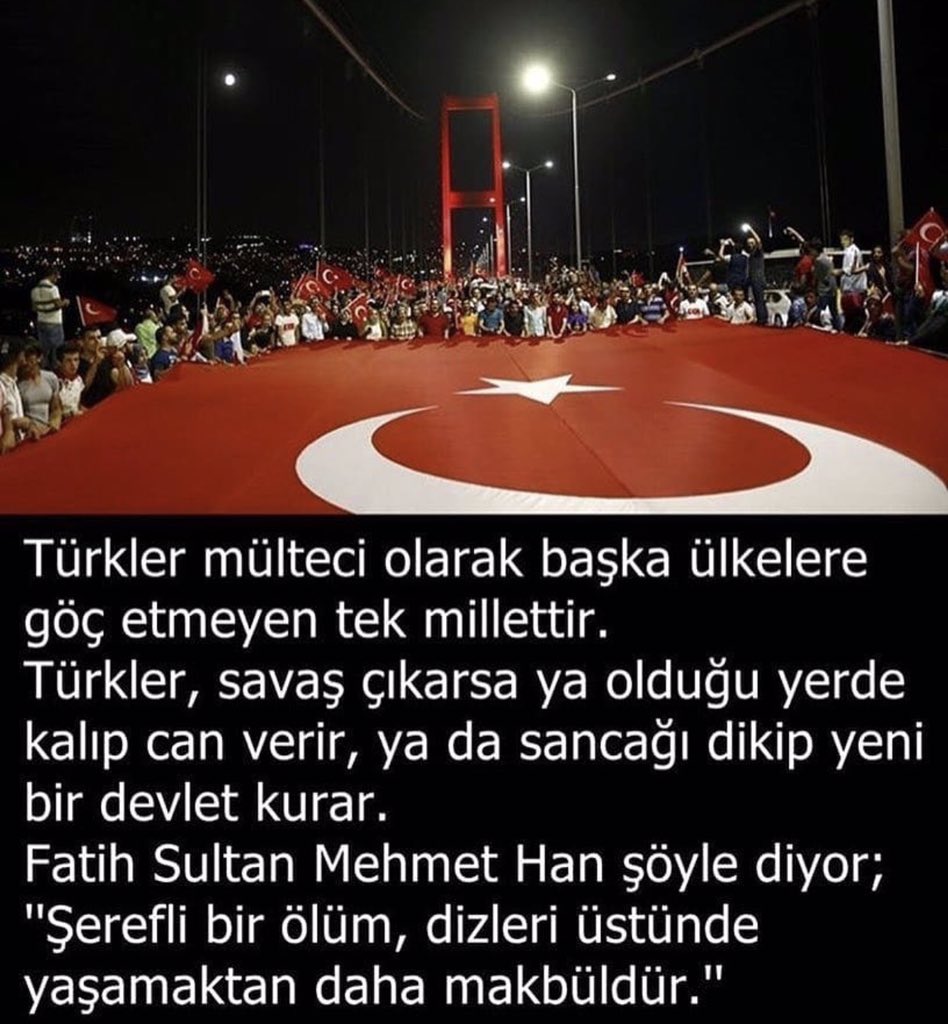 Yaşar Demir🟢🇹🇷 tweet media