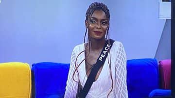 RhymzDav's tweet photo. This lady is named Peace but she already looks very mischievous lmaooooo 😹

Who else agrees??
#BBNajia https://t.co/igpSEPzFCZ