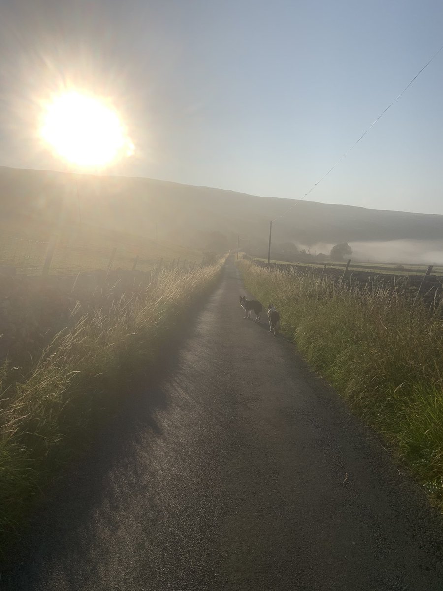 Beautiful morning in Halton Gill