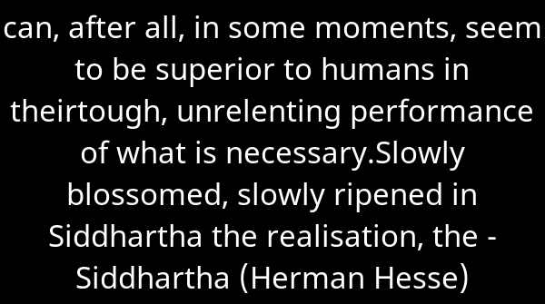 SkrupulusApp's tweet image. can, after all, in some moments, seem to be superior to humans in theirtoug... - Siddhartha (Herman Hesse). Continue reading skrupulus.com/reader/50/page…