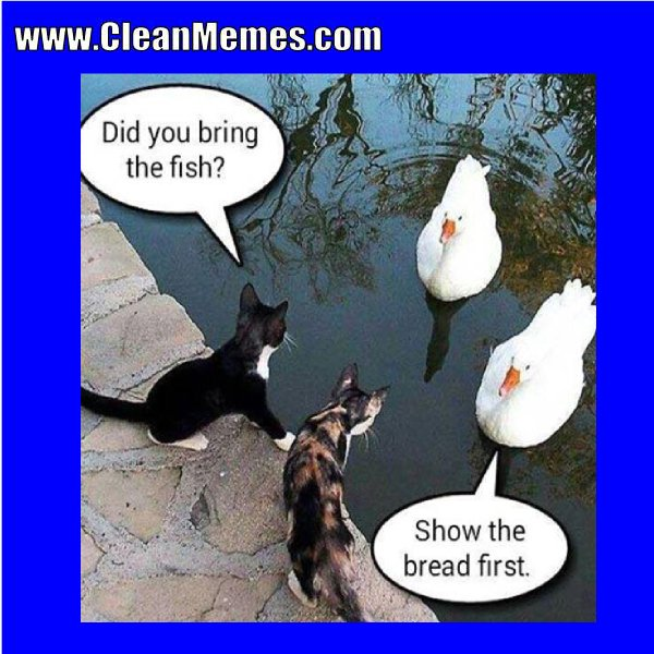 Go!
The 10-minute sprint starts now.
Optional prompts are: Show up, Present, Deconstruct