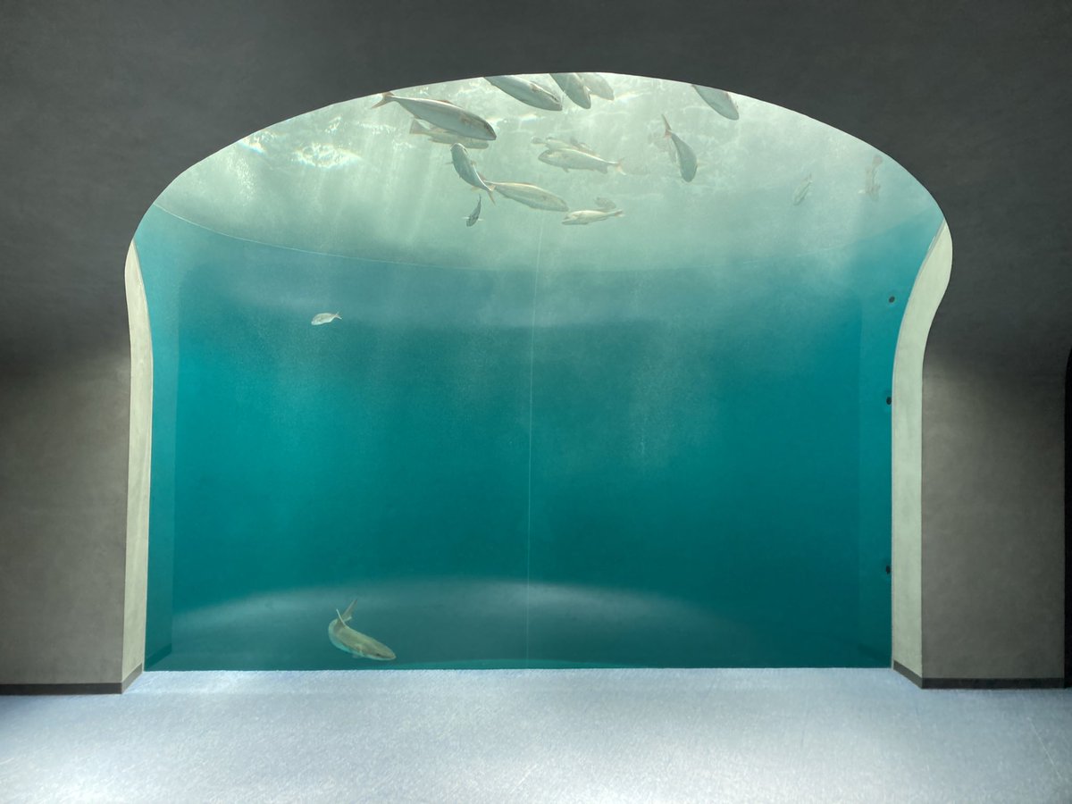 ____yn35_'s tweet photo. 四国水族館 🐟 https://t.co/o2I44WG1PO