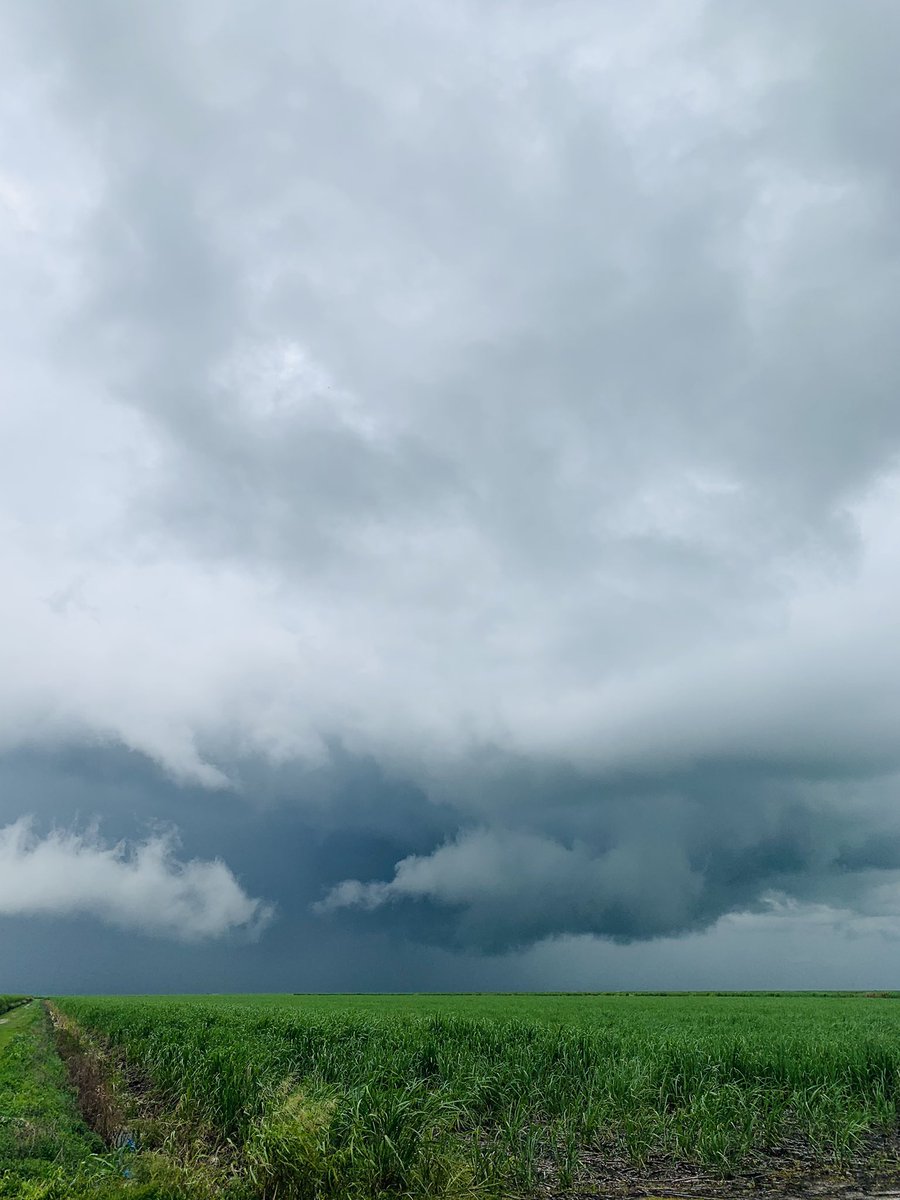 EvergladesFruit's tweet photo. Thunderstorms brewing yesterday over the sugarcane fields near Lake  Okeechobee in Pahokee Florida https://t.co/7UAfHE3g0h