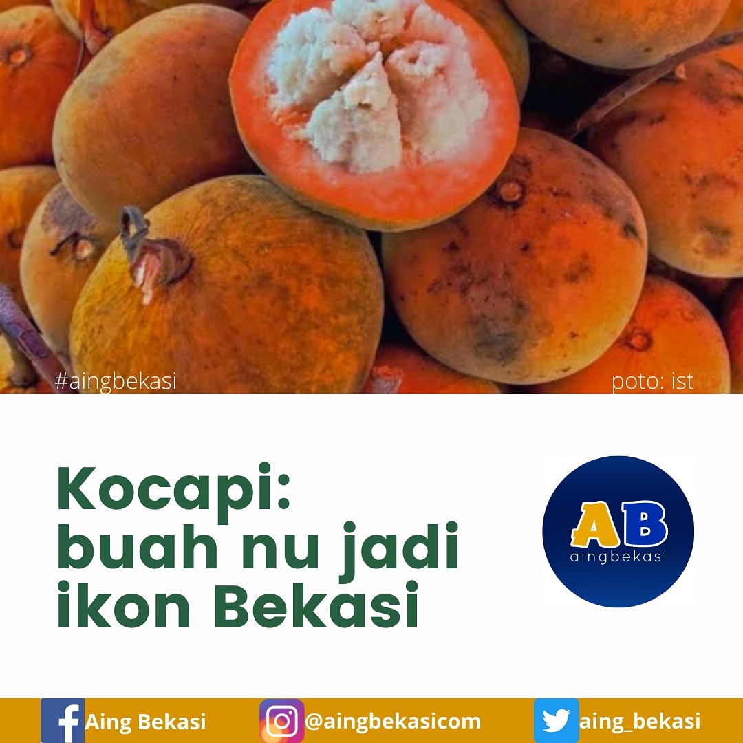 aing_bekasi's tweet photo. Basa keur aya penetapan ikon-ikon kota ti flora (tatangkalan) jeung fauna (sasatoan) sa Jawa Barat, Bekasi milih kocapi nu jadi ikon daerahna.
#aingbekasi #sundabekasi #urangsundabekasi #sundabekasingabuana #urangsunda #aingsunda #ulinkabekasi #kocapi #ikonbekasi #instasunda https://t.co/EQZbj46lXR