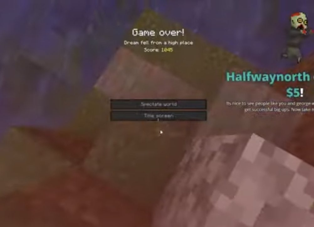 puackity4k's tweet photo. can we just appreciate how much dreams minecraft character has been through 💀💀 https://t.co/HnALLT9haa