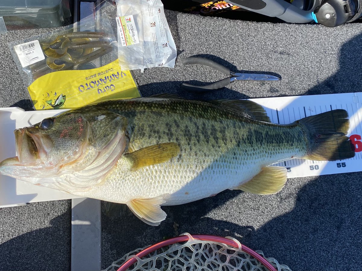 琵琶湖バス釣り 琵琶湖バス釣り