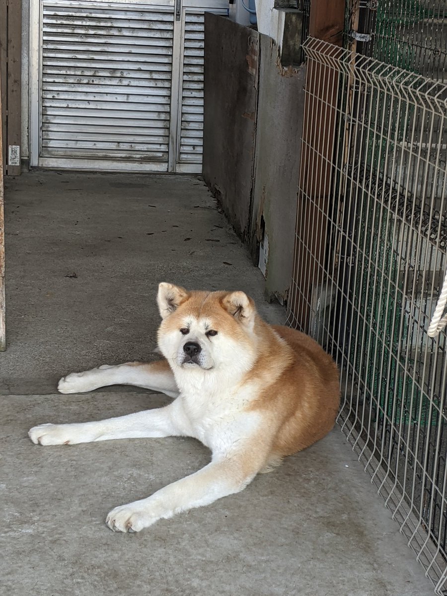 ひげ袋