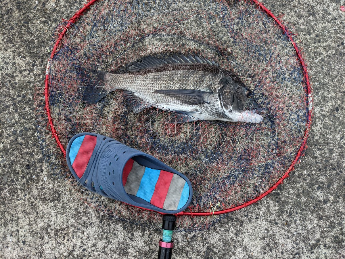 ズボ釣り ズボ釣り