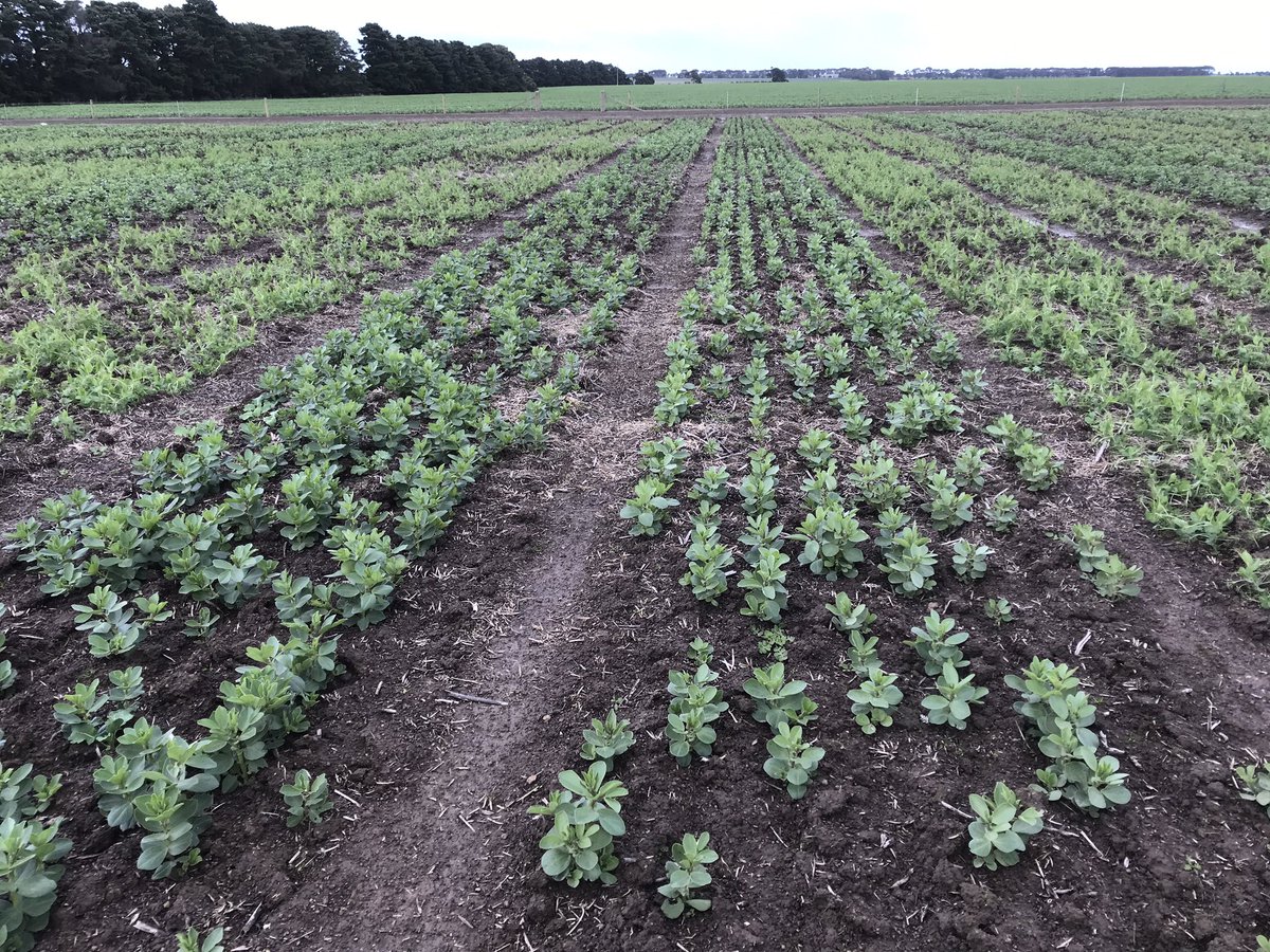 James Manson tweet media