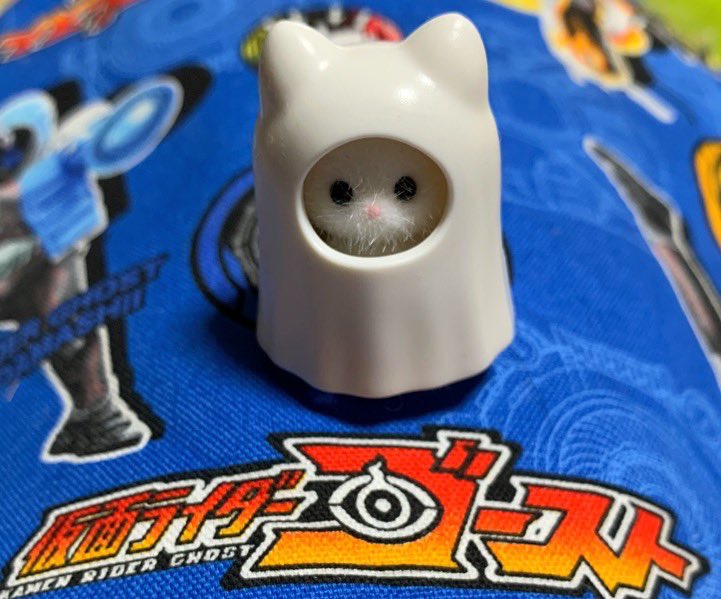 Twoucan れんま眼魂 Renma Reo