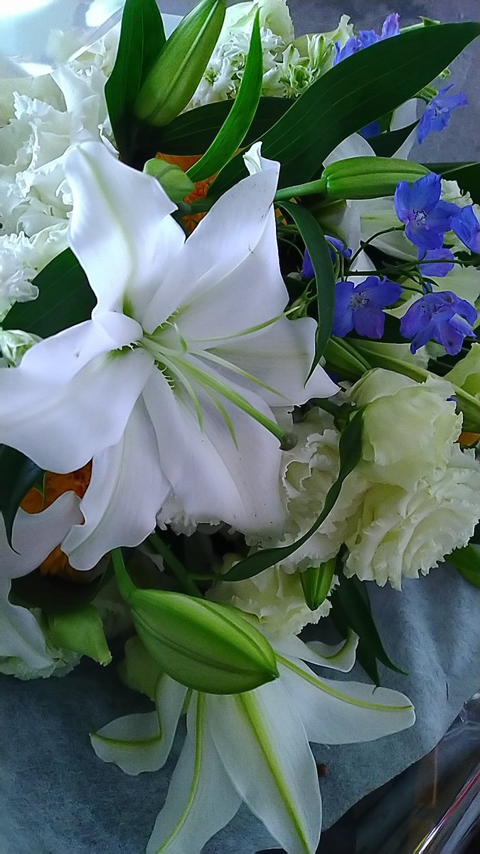 Raven 23時には寝たい Prayforsagamihara 弔花0726 私は優生思想を許しません 忘れません 花屋の店主が今年も やまゆり園に持って行くなら と 慈しみを込めて 優しい花束にしてくれました