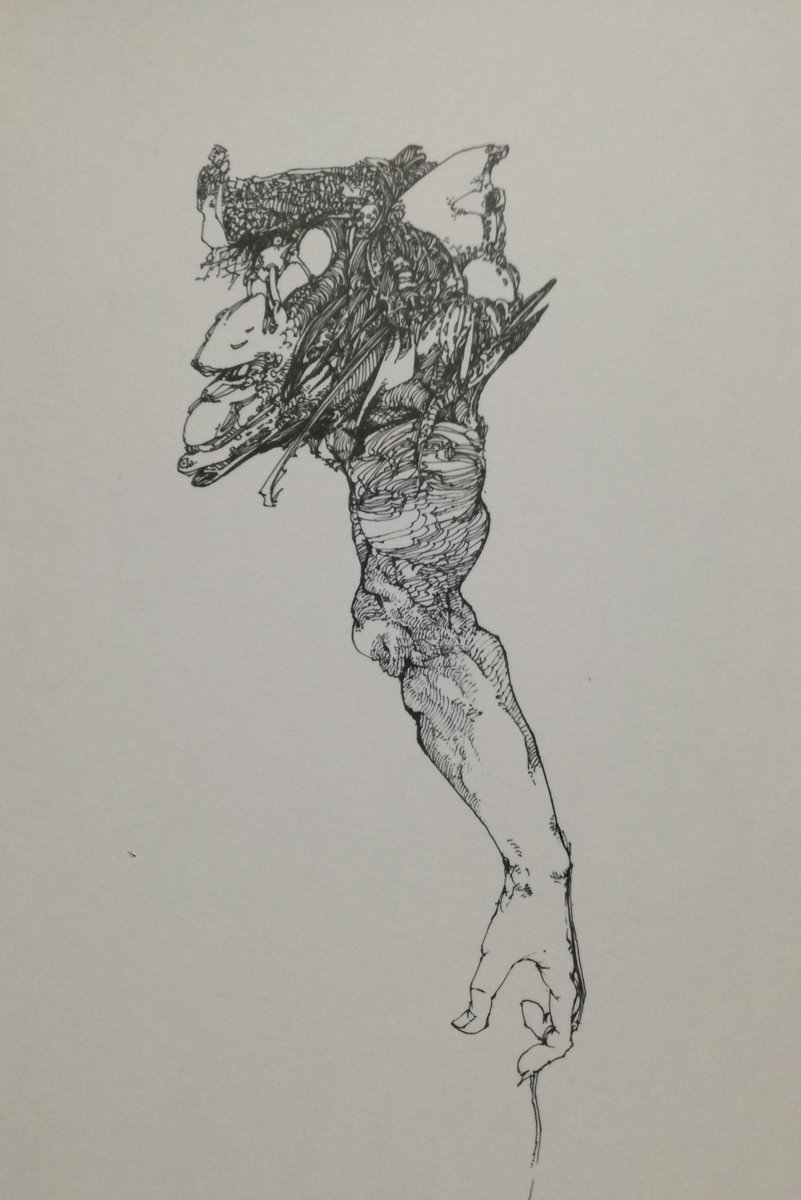 ボールペン画 イラスト 華月のイラスト