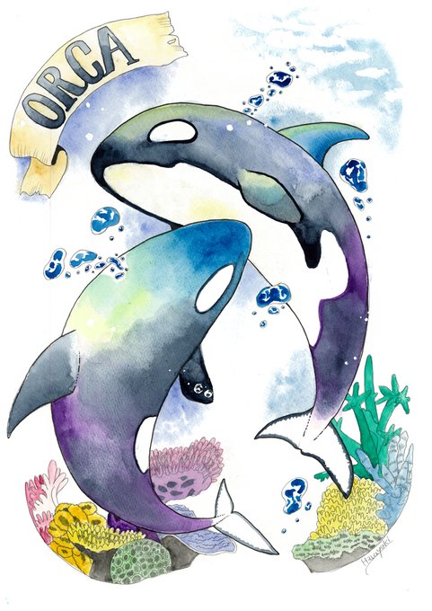 シャチのtwitterイラスト検索結果 古い順