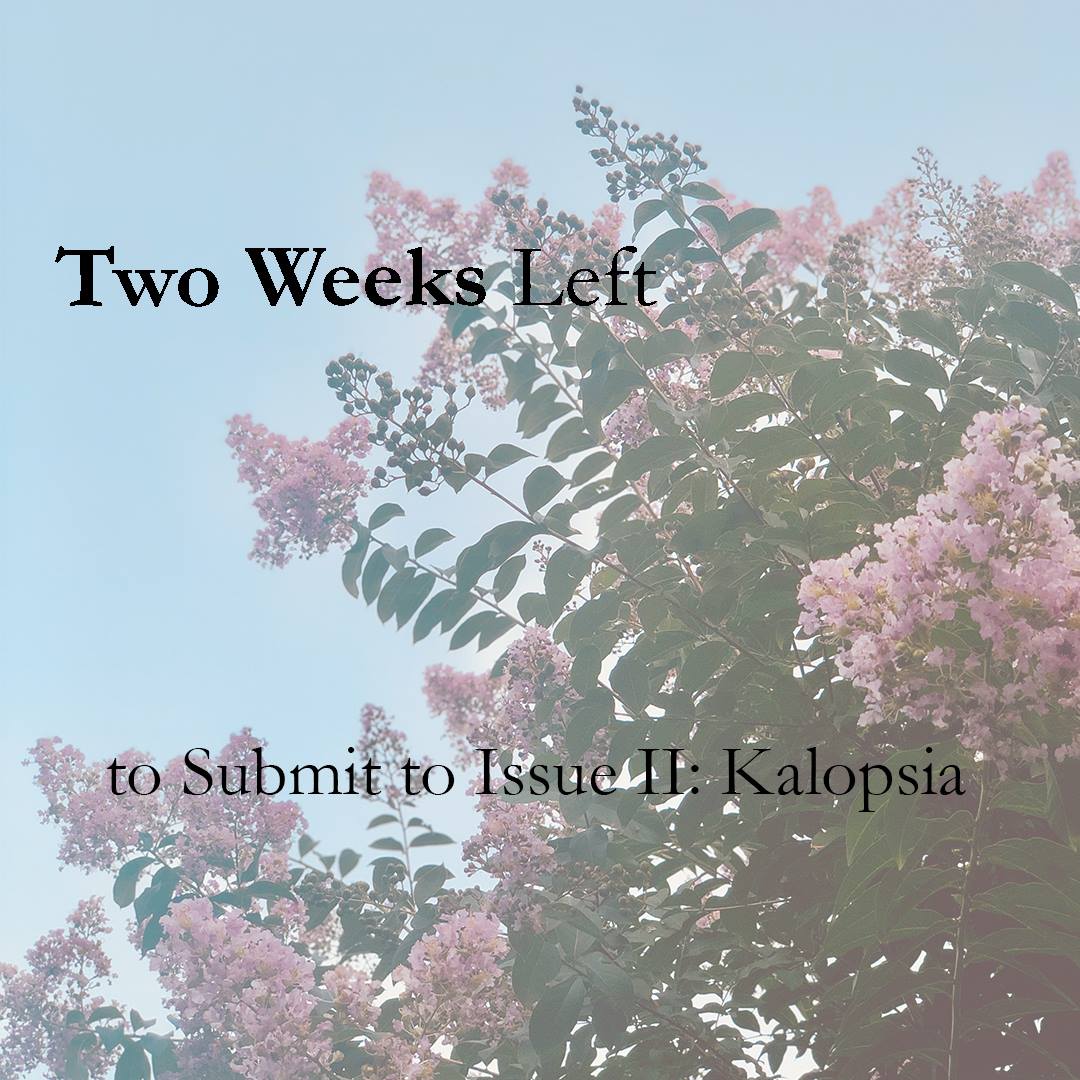 Intangible_Mag's tweet photo. REMINDER!!! Submissions for Issue II: Kalopsia close in two weeks on August 15th, so be sure to get your writing and art in before then!

#litmag #WritingCommunity #Submissions #art #writing #prose #Authors @writers #kalopsia #issueII https://t.co/WSVKtoBkUN