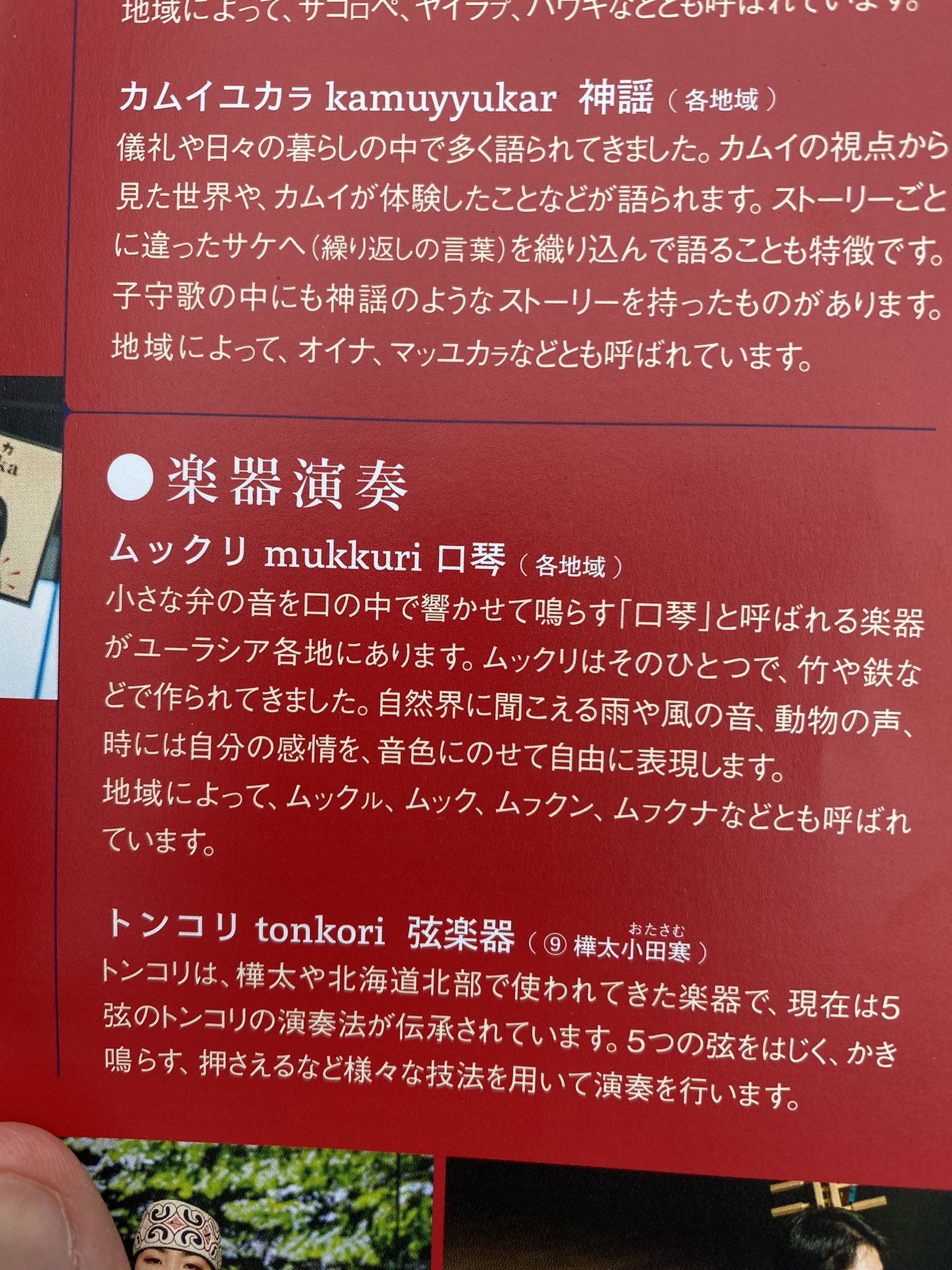 Unknown ウポポイ行った時に思ったんだけど ムックルってポケモンの名前 ムックリって楽器から来てるのかな シンオウだし Wikiとかみても由来のとこムクドリとしか書いてないけど もしそうだとしたらちょっと面白い T Co Qsaeqb8u0s Twitter