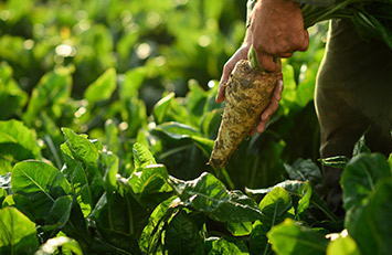 Regional Sales Manager Functional Ingredients bij Sensus gezocht freshrecruitment.com/vacatures/regi…