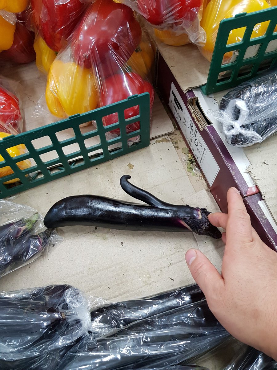 두리번 (@loverduribun) on Twitter photo 