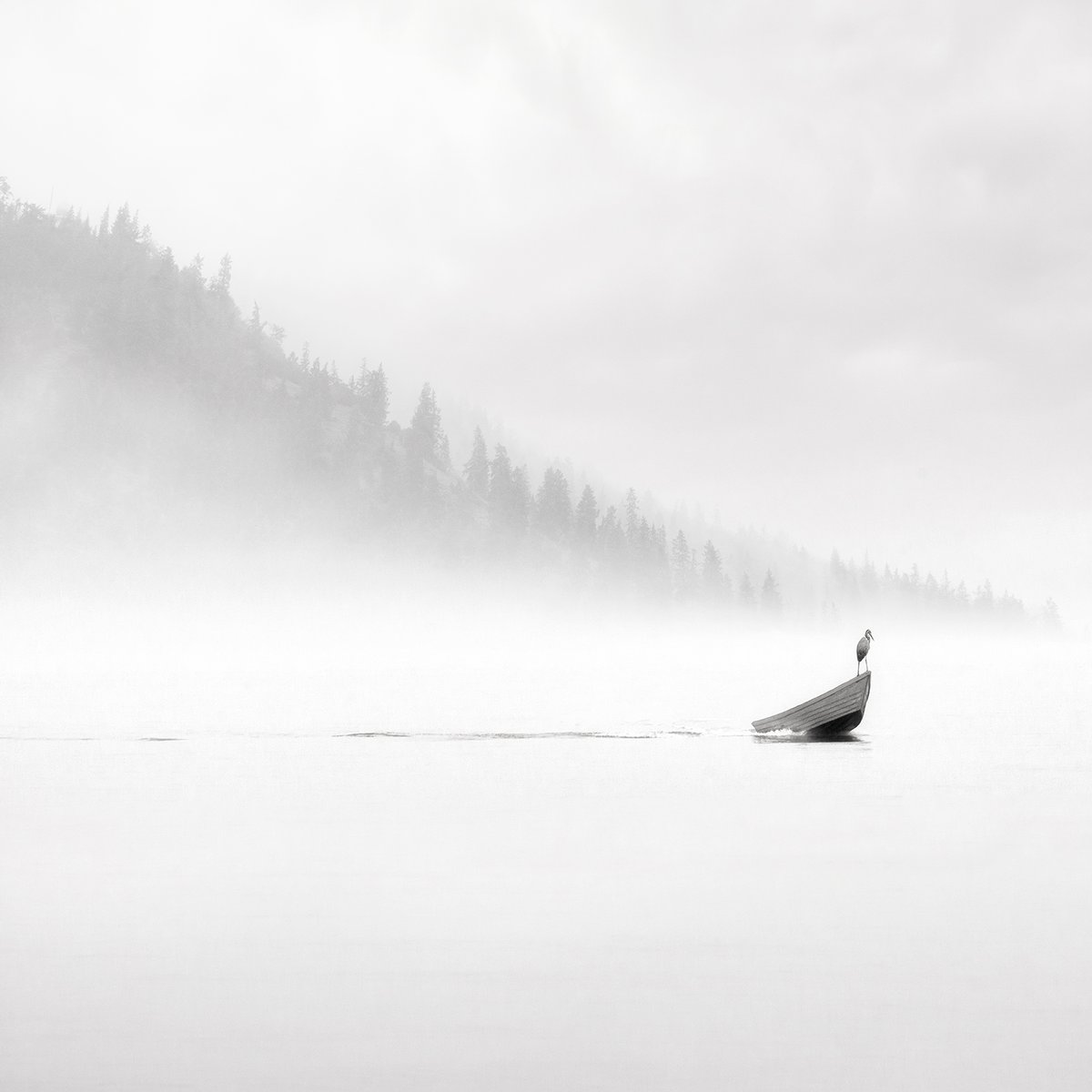 Untitled
(2017)
#fineartphotography #minimalist #blackandwhitephotography #photomanipulation #NFTartist