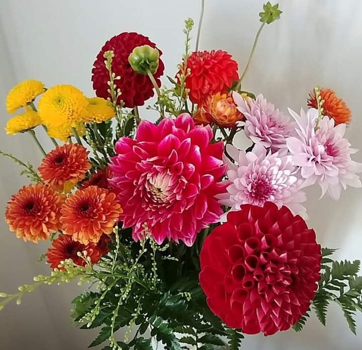 maria grazia turconi tweet media