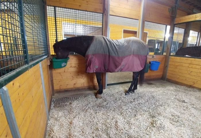De Kock Racing (@dekockracing) on Twitter photo ON A PATH TO SELF-DESTRUCTION
The <a href="/NHASouthAfrica/">NHA South Africa</a>'s flagrant disregard of <a href="/theIFHA/">Int'l Federation of Horseracing Authorities</a> Zilpaterol recommendation. <a href="/Louchepunter/">Geoffrey Riddle</a> <a href="/raypaulick/">Ray Paulick</a> <a href="/stevem_moran/">Steve Moran</a> <a href="/LauraKingDXB/">Laura King لورا كنج</a> mikedekockracing.com/2021/07/26/nha… ON A PATH TO SELF-DESTRUCTION
The <a href="/NHASouthAfrica/">NHA South Africa</a>'s flagrant disregard of <a href="/theIFHA/">Int'l Federation of Horseracing Authorities</a> Zilpaterol recommendation. <a href="/Louchepunter/">Geoffrey Riddle</a> <a href="/raypaulick/">Ray Paulick</a> <a href="/stevem_moran/">Steve Moran</a> <a href="/LauraKingDXB/">Laura King لورا كنج</a> mikedekockracing.com/2021/07/26/nha…