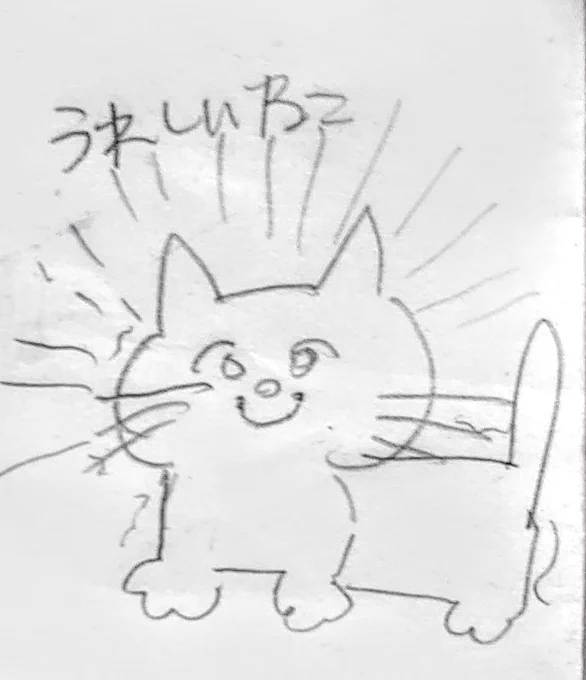 @245_kasu_ 