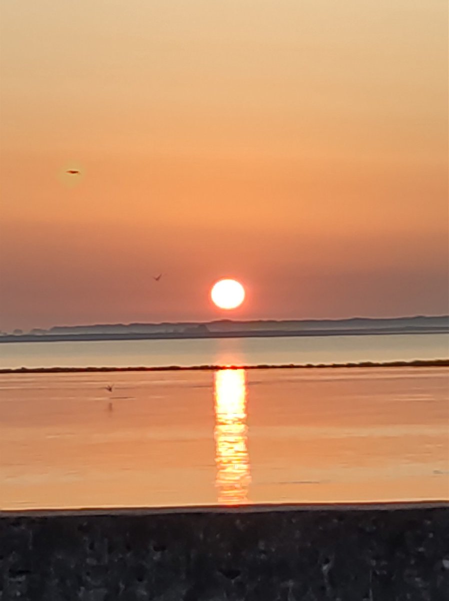 As the rises over beautiful Wexford harbour
As the amazing CAMHS staff we do start heading to work to cover population of 80000 People knowing there team doesn't have psychologist or dietitian
<a href="/MaryButlerTD/">Mary Butler TD</a> <a href="/MichealMartinTD/">Micheál Martin</a> @DonnellyStephen 
Mental health matters