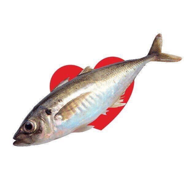 daendlessrain's tweet image. / ผู้ดูแลหวีดเมจคุณเบเนดิกต์ครับ