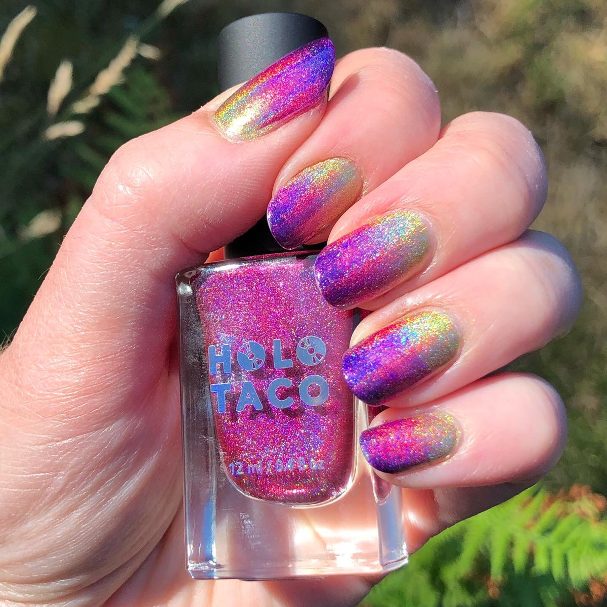Linear Holo gradient! There’s at lease one polish from each Holo Taco linear holo collection! 
.
Holo Taco: Purple Slushie, Hot-Wire Pink, Coral Chaser, Lemon Spritzer
.
#nailpolish #holotaco #linearholopolish #gradientnails