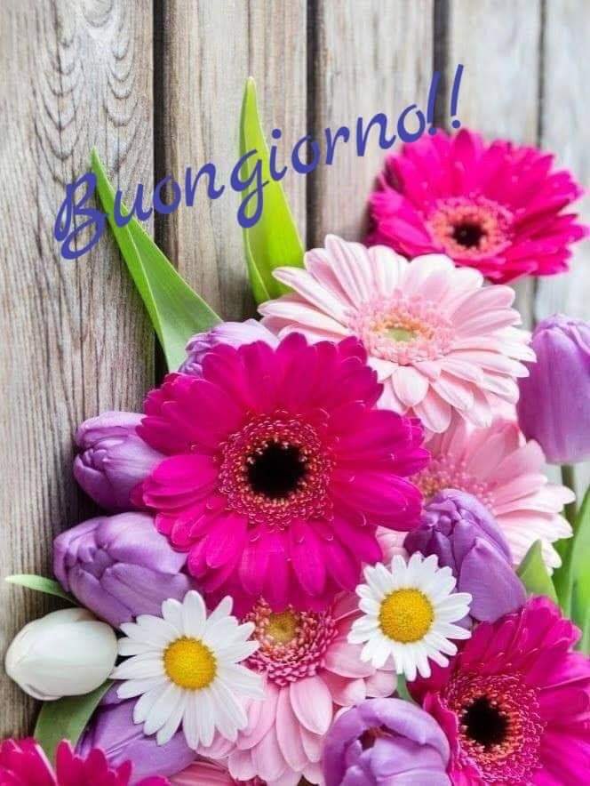 maria cristina lazzi tweet media