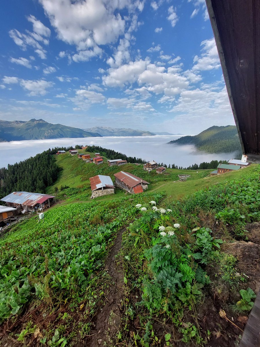 zeynox's tweet photo. Günün en güzel saati sabah kimseler ayaklanmadan... bu arada #Pokut giderayak şov yapıyor! #kackar #karadeniz #çamlıhemşin #Rize https://t.co/vGQRDnJSOa