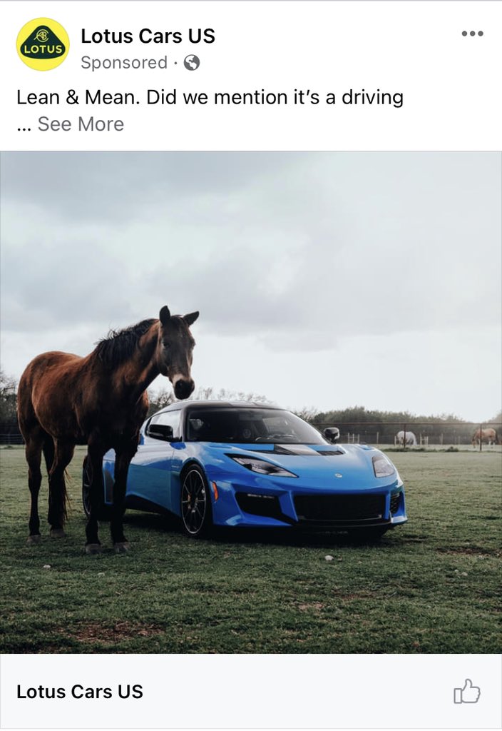 lyndit's tweet image. For me, this is an excellent and very  personalized ad. One of each please! Great work @lotuscars #horsecrazy #carnerd