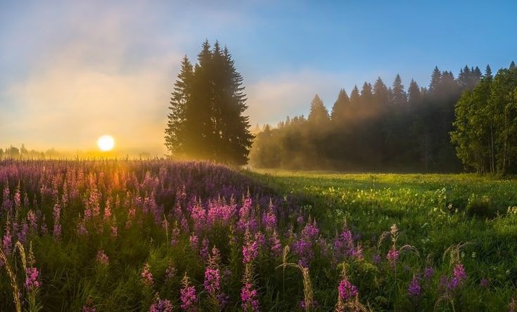Good morning!🧡