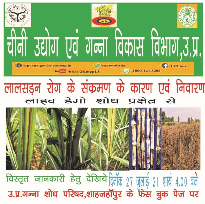Cane Development UP on Twitter "upgannashodhparishad canewebsite https//t.co/9NUV4dG4yg