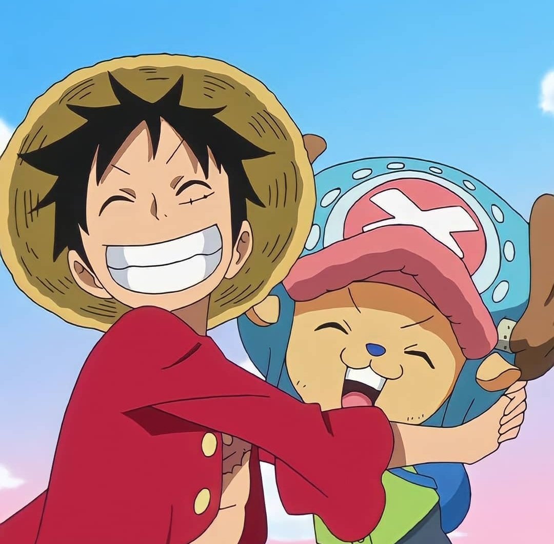 Hourly Luffy Houriyluffy Twitter