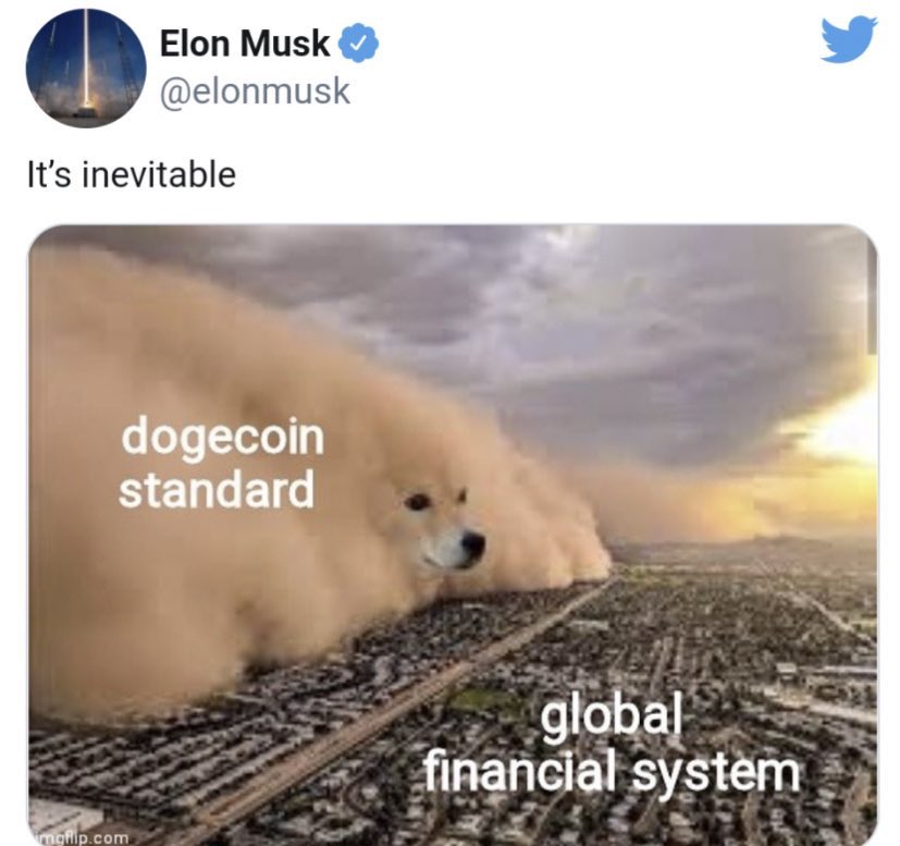 FullSendSutton tweet media