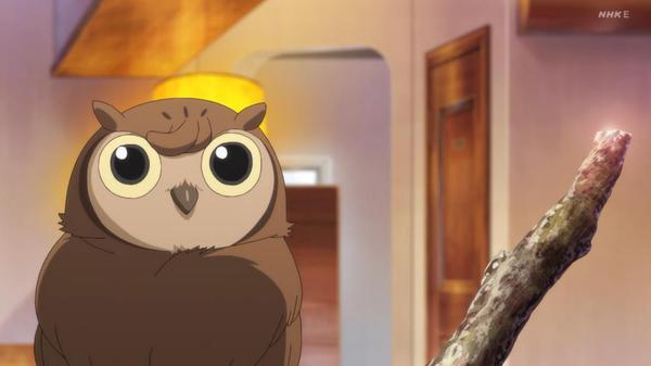 偏見で語るラブライブ Bot على تويتر マンマル かのんの実家で飼われているコノハズク 熱烈な丸マニアの千砂都が 完璧なまんまる と評する丸さ 声を演じるのはやっぱり安定の麦穂あんな女史 動物声優の名は伊達じゃない T Co Nqiinq5jyw