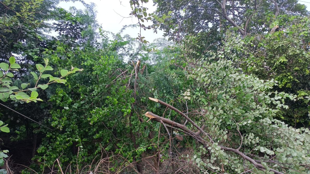 DVVNL AGRA tweet media