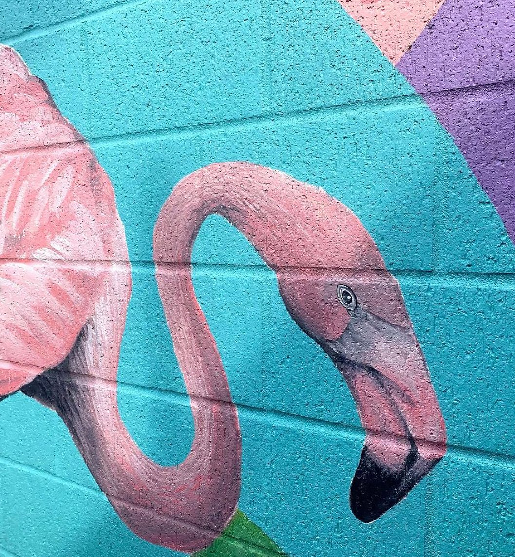 bookanartist tweet media