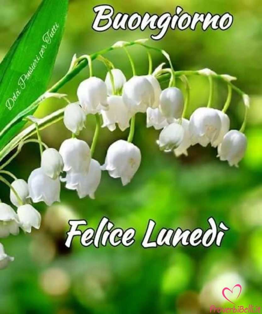 Francesca Elisa Olivia Angiolini tweet media