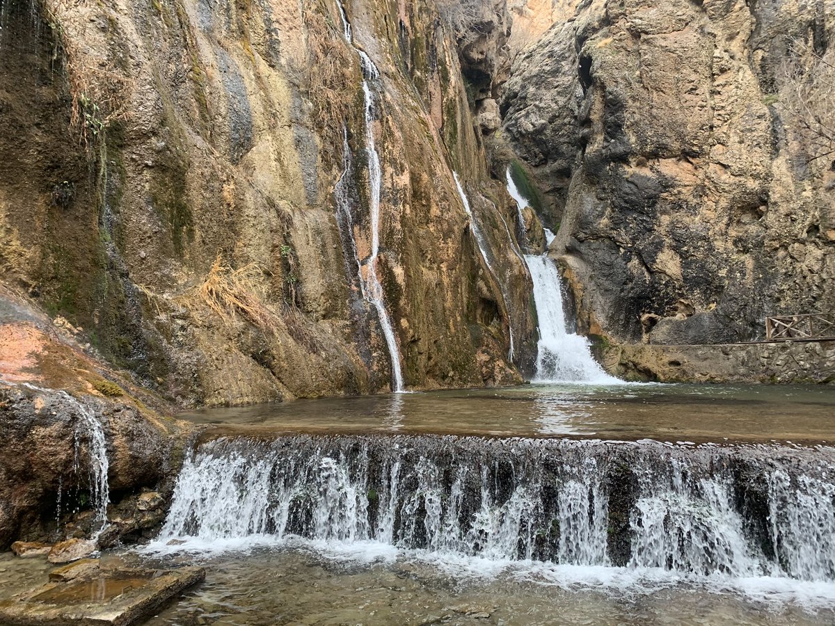 Roj baş arkadaşlar